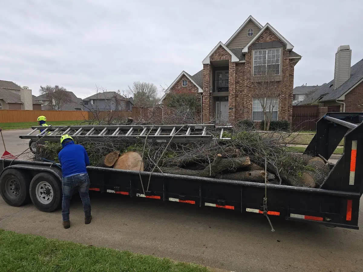 Expert Tree Fertilization with proper safety equipment in Crossnore
